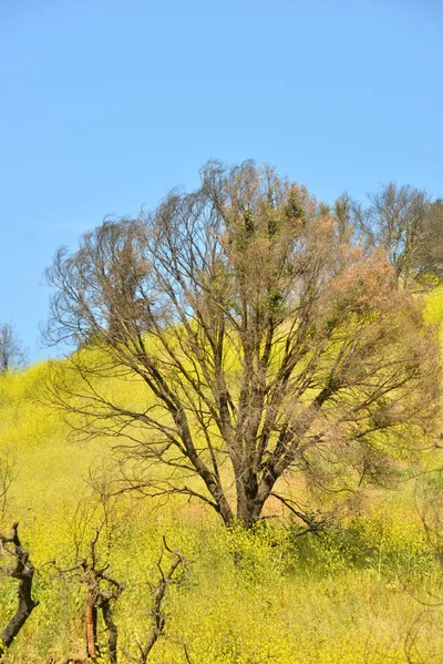 DSC_6430 (Large).JPG